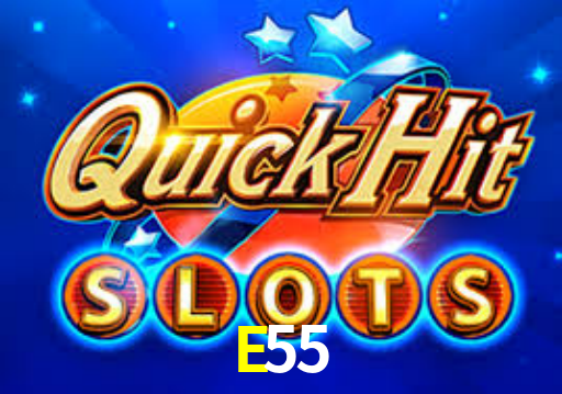 Premium Interface E55