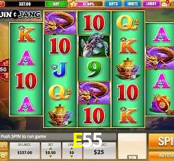 Security Systems E55